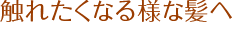 触れたくなる様な髪へ